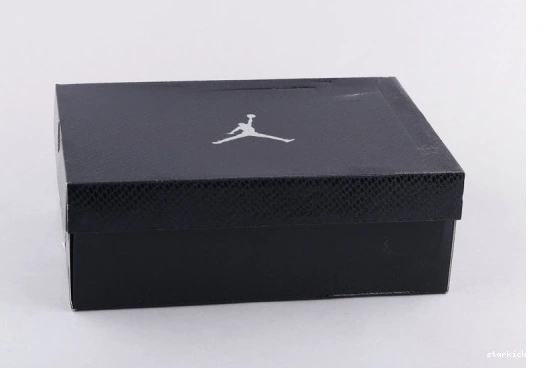 Retro Jordan AH7860 106 11 Snakeskin